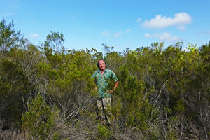 Patrick Blanc in young Erica mafiensis pure stand, Ngezi FR, Pemba, Tanzania, Jan. 2021