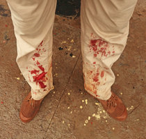 Patrick Blanc, just after feeding the greedy leeches in shola forest, Karnataka, India, June 2018