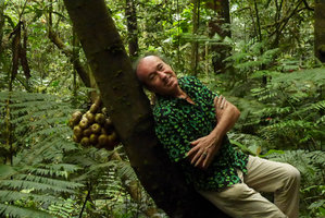 Patrick Blanc leaning against the trunk of the cauliflorous Ficus schwarzii bearing a huge bunch of ripe figs, Fraser&#039;s Hill, Malaysia, Dec. 2016