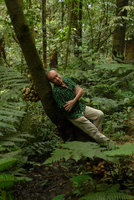 Patrick Blanc leaning against the trunk of the cauliflorous Ficus schwarzii bearing huge bunches of ripe figs, Fraser&#039;s Hill, Malaysia, Dec. 2016