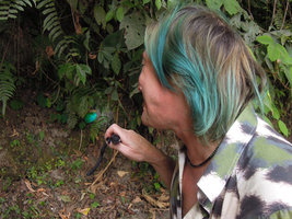 Patrick Blanc lighting a Begonia pavonina leaf, Cameron Highlands, March 2014