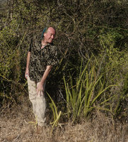 Patrick Blanc looking at a clump of Sansevieria ehrenbergii, Lake Abaya, Arba Minch, Ethiopia, Jan. 2019
