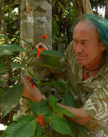 Patrick Blanc looking at a fom of Psychotria poeppigiana with very narrow recurved bracts in riverine forest, Cano Cristales, Meta, Colombia, Oct. 2016