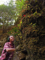 Patrick Blanc looking at a monophyllous tiny red leaf Begonia on a limestone cliff, Doi Pha Tang, Thailand, Nov. 2013