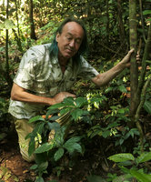Patrick Blanc looking at a pale yellow flowering Impatiens cf. rugata, Ba Be NP, Vietnam, Nov. 2017