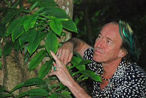 Patrick Blanc looking at a Pothos species, Tat Sae Waterfall, Luang Prabang, Laos, Janvier 2012