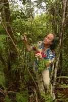 Patrick Blanc looking at a young Retrophyllum vitiense (syn. Podocarpus), Waisali, Vanua Levu, Fiji, Aug. 2016