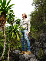 Patrick Blanc looking at Dracaena cambodiana at the top of a karst tower, Halong Bay, Vietnam, Jan. 2007
