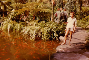 Patrick Blanc looking at goldfish, Lisbon glasshouse, 1965