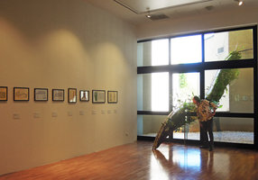 Patrick Blanc looking at his Penetrante Vivante at the GAM museum, Torino, Italy
