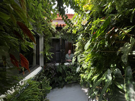 Patrick Blanc looking at his vertical garden in the patio of the Tamba restaurant, Singapore, April 2024