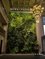 Patrick Blanc looking at Orchids and Ferns on the six years old Vertical Garden of the National Theater Vertical Garden, Taipei, Taiwan, Oct. 2015