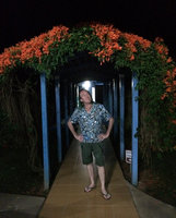 Patrick Blanc looking at Pyrostegia venusta on a restaurant pergola,Vinales,, Cuba, Feb. 2017