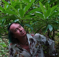Patrick Blanc looking at the big leaves of Solanecio mannii, way to Bondwa Peak, 1400 m asl, Uluguru Mts, Tanzania, Jan. 2021