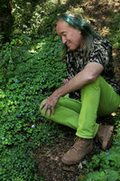 Patrick Blanc looking at the bright blue flowers of the tiny carpeting Parochetus africanus, Zomba, Malawi, Aug. 2017