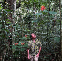 Patrick Blanc looking at the bright red inflorescences of Clerodendrum japonicum in forest understory, Paitchau forest, Nino Konis Santana NP, Timor-Leste, Aug. 2026