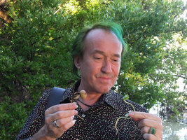 Patrick Blanc looking at the capsule and seedling of Ipomoea violacea, Keys, Florida, Dec 2013