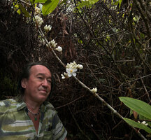 Patrick Blanc looking at the cauliflorous inflorescences of Medinilla venusta, Cameron Highlands, Malaysia, April 2023