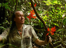 Patrick Blanc looking at the cauliflorous Mucuna bennettii, Karawari, Sepik, Papua New Guinea, March 2016