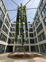 Patrick Blanc looking at the Colonnes Symbiose just two weeks after completion of plant installation, Mutualité Française, Paris, July 2026