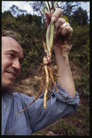 Patrick Blanc looking at the contractile roots of Ravenala madagascariensis &#039;Bemavo&#039;, Madagascar, Dec. 1997