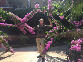 Patrick Blanc looking at the elusive Bougainvillea x specto-glabra, Buyukada, Prince&#039;s island, Istanbul, Sept. 2015