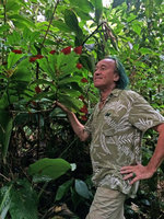 Patrick Blanc looking at the epiphytic Columnea ericae with bright red leaf tips, Calanoa, Leticia, Colombia, Nov. 2016