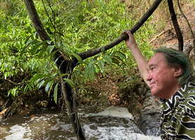 Patrick Blanc looking at the epiphytic Hoya multiflora, Bulalacao Falls, El Nido, Palawan, Philippines, April 2026