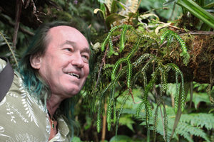 Patrick Blanc  looking at the epiphytic Huperzia squarrosa, Belouve, La Reunion, Oct. 2015