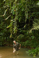 Patrick Blanc looking at the flagelliferous hanging stems of a climbing Marcgravia,Terco, Nuqui, Choco, Colombia, Nov. 2016