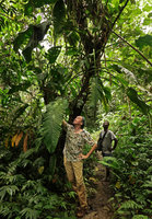 Patrick Blanc looking at the huge leaves of Scindapsus altissimus, Tenaru Falls, Guadalcanal, Solomon Islands, Sept. 2019