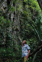 Patrick Blanc looking at the limestone cliff partly covered by Begonia hughesii individuals, Lion&#039;s Cave, Sabang, Philippines, Feb. 2009
