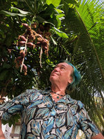 Patrick Blanc looking at the pendant infructescence of a cultivated Barringtonia, probably B. procera, Honiara, Solomon Islands, Sept. 2019