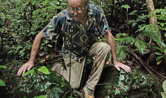 Patrick Blanc looking at the shingle leaves of Rhaphidophora hayi tightly appressed to the rocks, War Inkabom Waterfall, Batanta, West Papua, May 2025