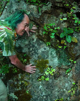 Patrick Blanc looking at the small unifoliate Begonia brandisiana, Mae La Na Cave, Pang Mapha, Thailand, Oct. 2023
