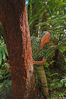 Patrick Blanc looking at the stipe of the tree fern, Sphaeropteris intermedia, the stipe being thickened due to the numerous adventitious roots, Parc des Grandes Fougères, New Caledonia, Aug. 2023