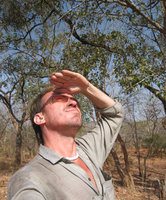 Patrick Blanc looking at the tree crowns in savannah, Mali, Jan. 2006