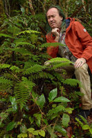Patrick Blanc looking perplexly at the miniature tree fern Alsophila perpelvigera, Tari, 2000 m asl, Hela, Papua New Guinea, March 2016