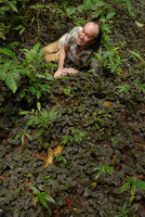 Patrick Blanc lying among a brown leaved carpeting Piper, Karawari, Sepik, Papua New Guinea, March 2016