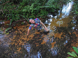Patrick Blanc lying among  Cryptocoryne cordata var. siamensis in a clear forest stream, Khao Lak, Thailand, Oct 2014