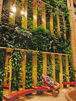 Patrick Blanc lying on a bench in front of the Beach Suites Vertical Garden, Sofitel Palm Jumeirah, Dubai