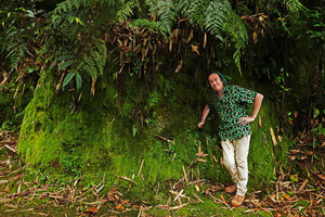 Patrick Blanc lying on a limestone boulder totally covered by mosses and rosettes of Boea philippensis, Lemo, Tana Toraja, South Sulawesi, June 2019