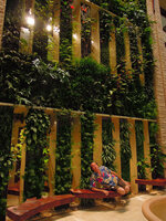Patrick Blanc lying on a wooden bench in front of the Beach Suites Vertical Garden, Sofitel Palm Jumeirah, Dubai