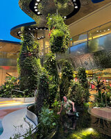 Patrick Blanc lying on the transparent glass covering the fish pond full of Malawi cichlids in the Dreamscape Garden in Changi airport T2, Singapore, Nov. 2023