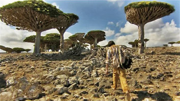 Patrick Blanc moving towards a relictual population of Dracaena cinnabari, Socotra, March 2005