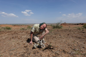 Patrick Blanc much intrigued by a defoliate grey stone like succulent pachycaul plant, maybe a Cyphostemma species, Sodo, Wolayta, Ethiopia, Jan. 2019