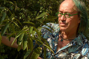 Patrick Blanc much intrigued by a dry forest shrub with opposite papery crinklled leaves, Guardalavaca, Cuba, Feb. 2017