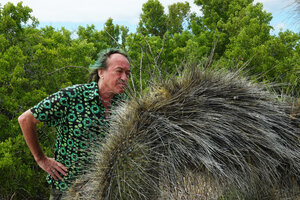 Patrick Blanc much intrigued by an old Opuntia galapageia var. myriacantha covered by countless huge spines, Las Bachas, Santa Cruz, Galapagos, Aug. 2021