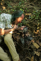 Patrick Blanc much intrigued by the blackish shiny leaves of Aspidistra babensis  in karst forest understory, Ba Be NP, Vietnam, Nov. 2017