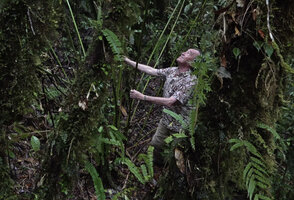 Patrick Blanc much intrigued by the tall climbing stems of Racemobambos ceramica reaching the forest canopy without any clinging structure, Manusela NP, 1100 m asl, Seram, Moluccas, April 2024